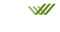 invisilogo